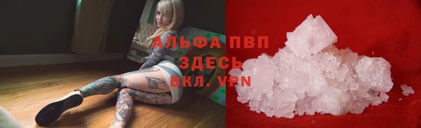 спиды Богородск