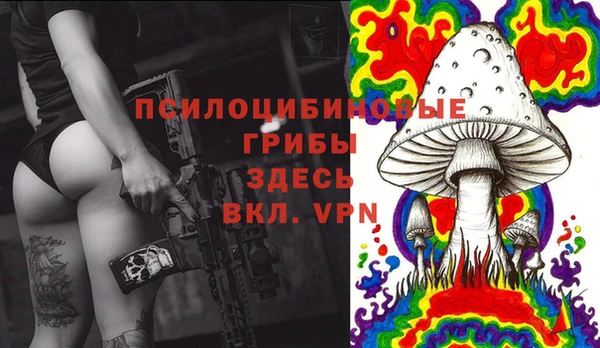 spice Бронницы