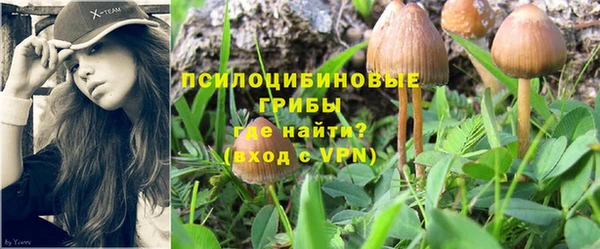 мескалин Бутурлиновка