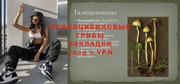 spice Бронницы